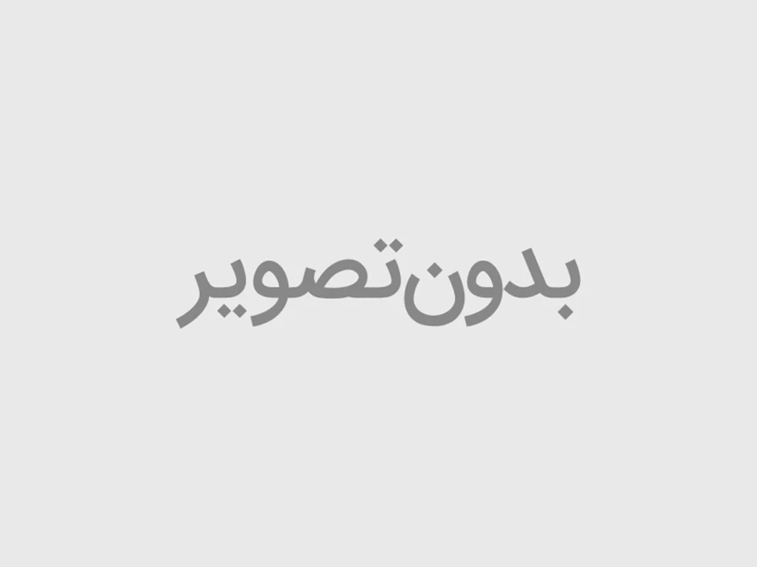 برچسب تعمیرات لوازم بادی اینتکس کد 59631